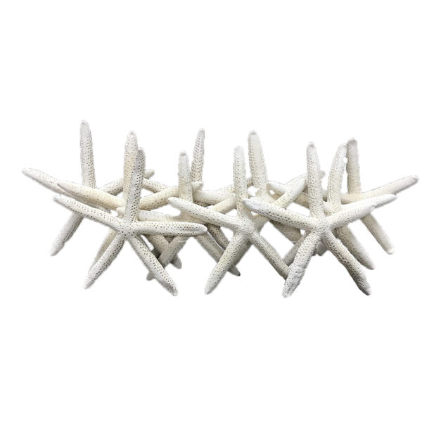 ΑΣΤΕΡΙΑΣ FINGER ±18cm - Image 2